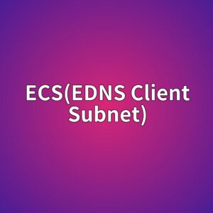 ECS(EDNS Client Subnet)의 장단점 2 ecsedns client subnet 1785325773
