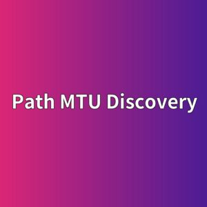 path mtu discovery 1785403008