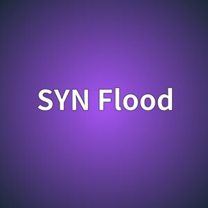 syn flood 1785324871
