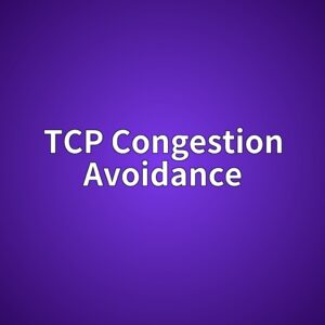 TCP Congestion Avoidance 알고리즘 비교 3 tcp congestion avoidance 1785325660