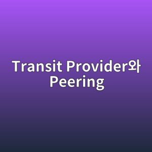 transit providerec9980 peering 1785402645